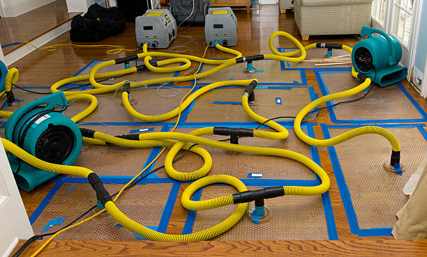 Professional Basement Flood Cleanup technician working in Kitty Hawk, NC